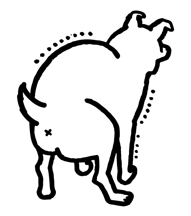 an illustration of a dog pooping